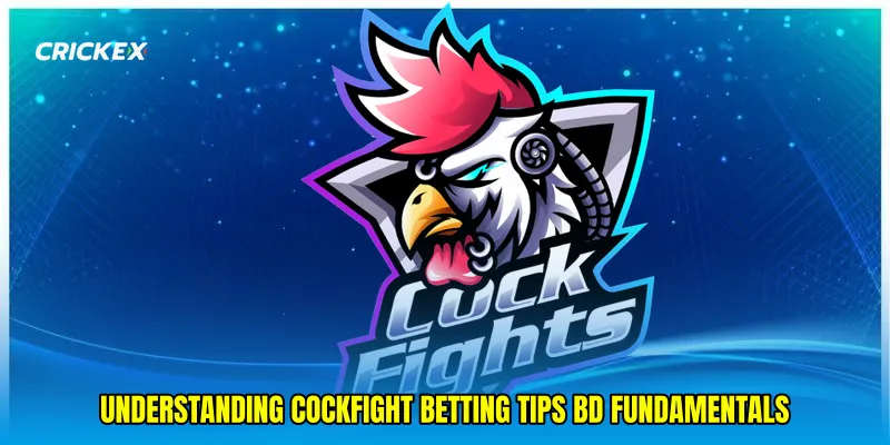 Understanding Cockfight betting tips BD Fundamentals